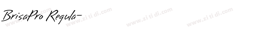BrisaPro Regula字体转换